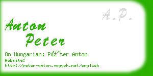 anton peter business card